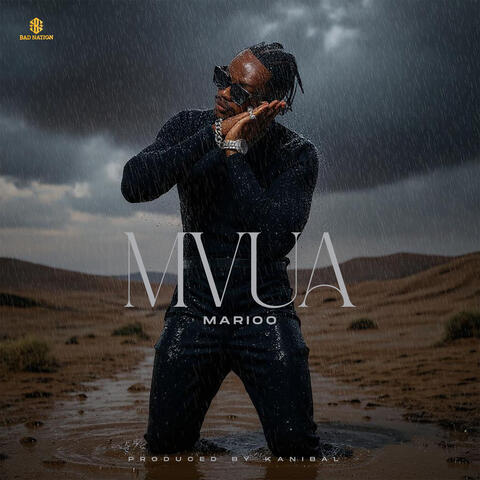 MVUA album art