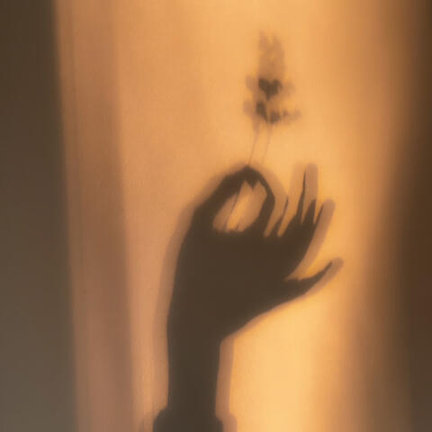 Simplicity album art