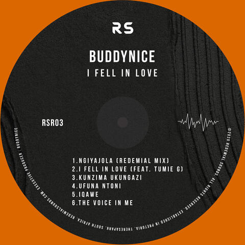 I Fell In Love album art