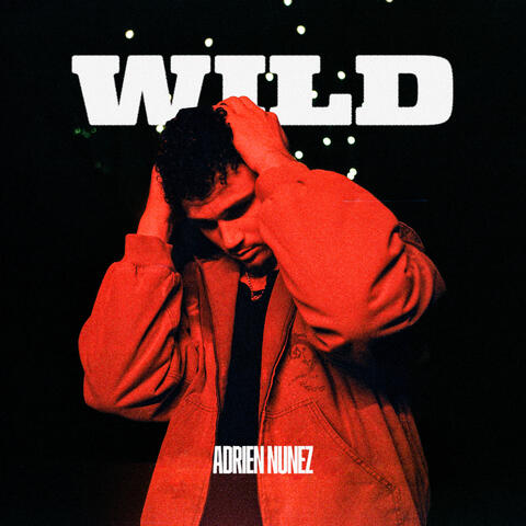 WILD album art