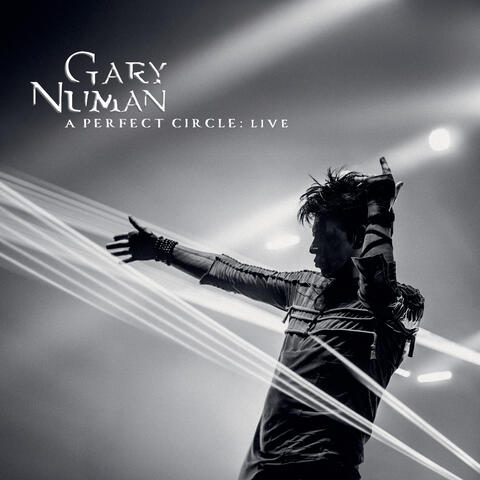 A Perfect Circle album art