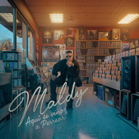 Aqui Se Vino A Perrear album art