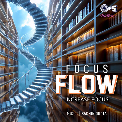 Focus Flow album art