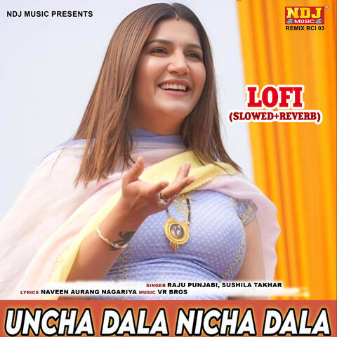 Uncha Dala Nicha Dala Lofi (Slowed + Reverb) album art