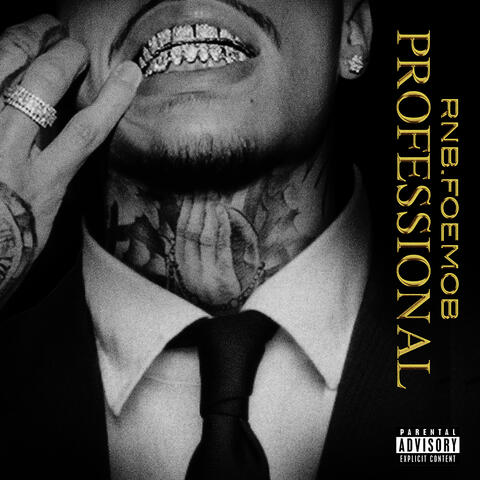 Professional album art