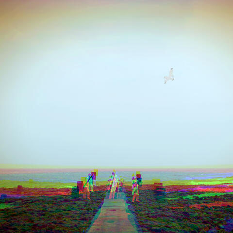 Rise Again album art