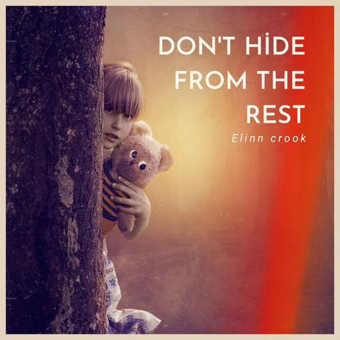 Don't Hide From The Rest album art