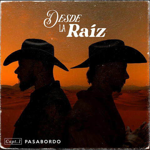 Desde la raíz album art
