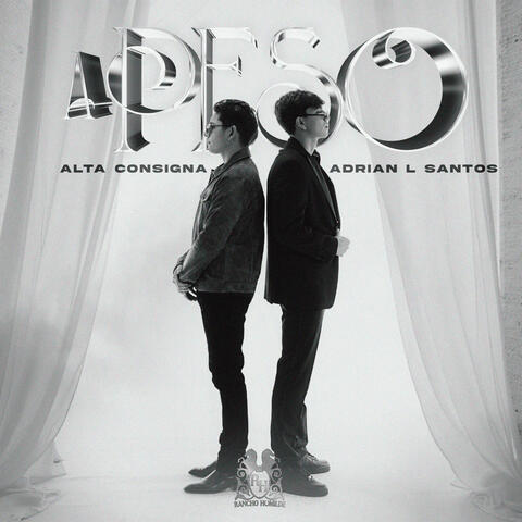 A Peso album art