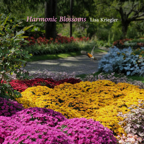 Harmonic Blossoms album art