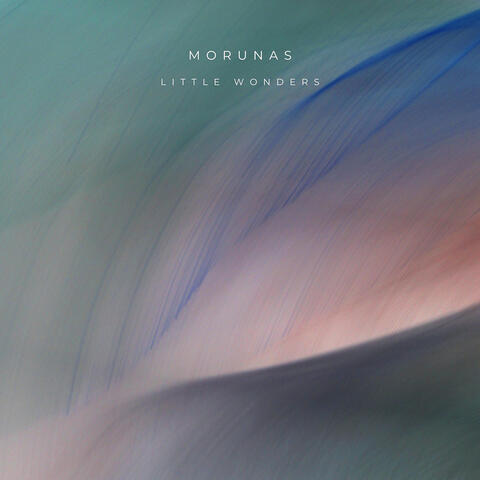 Little Wonders album art
