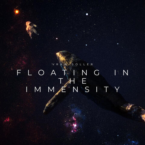 Floating In The Immensity album art
