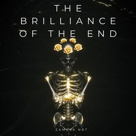The Brilliance Of The End album art