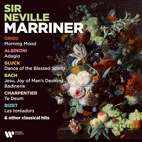Grieg: Morning Mood - Albinoni: Adagio - Gluck: Dance of the Blessed Spirits - Bach: Jesu, Joy of Man's Desiring & Badinerie & Other Classical Hits album art