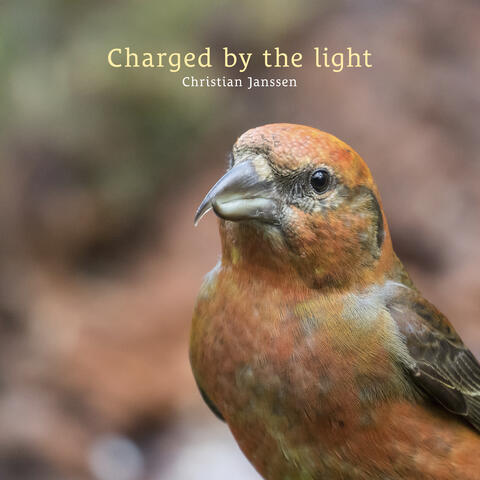 Charged by the light album art