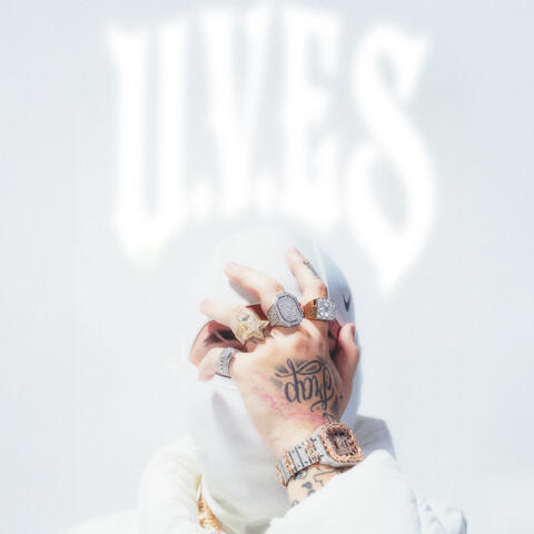 UNA VALIJA EN SENTIMIENTO album art