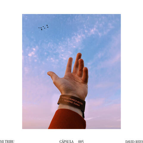 Mi tribu album art