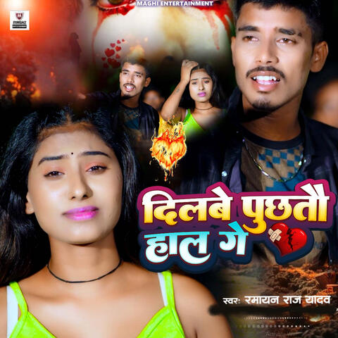 Dilbe Puchhtau Hal Ge album art