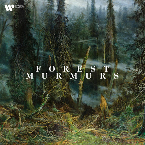 Forest Murmurs album art