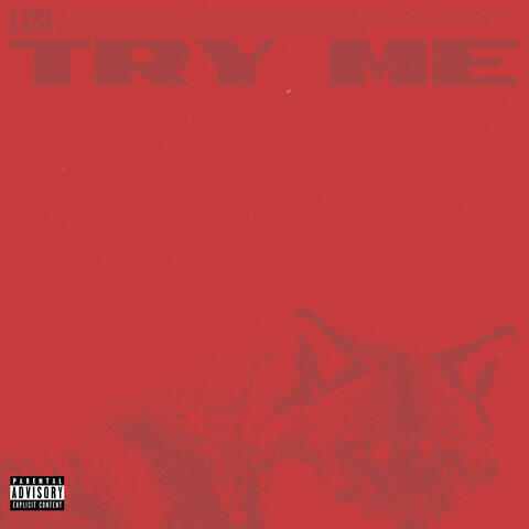 Try Me album art