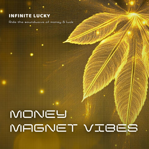 Money Magnet Vibes - Ride the soundwave of money & luck album art