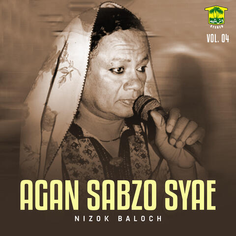 Agan Sabzo Syae, Vol. 04 album art