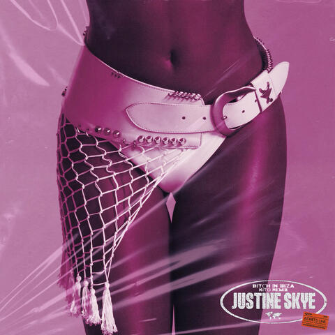 Bitch In Ibiza album art