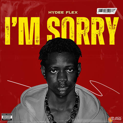 I'm Sorry album art
