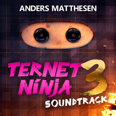 Ternet Ninja 3 album art