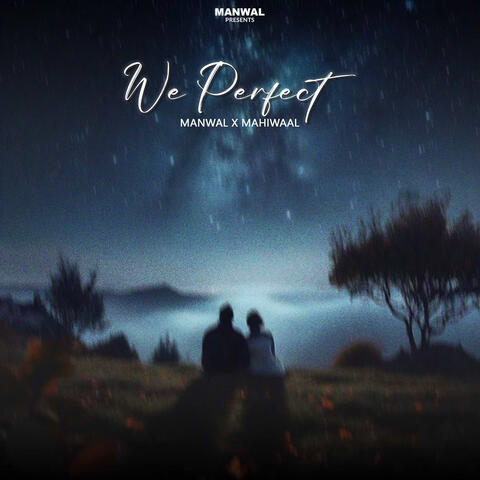 We Perfect album art