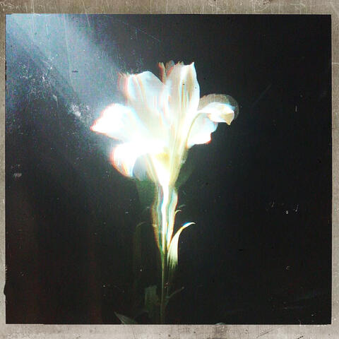 Light That Leads Me album art