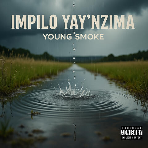 Impilo yay'nzima album art