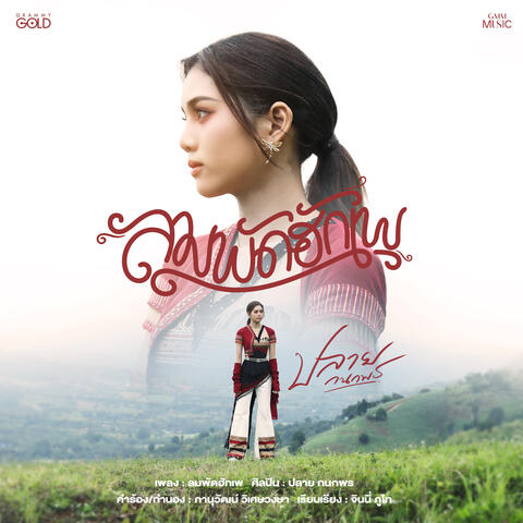 ลมพัดฮักเพ album art