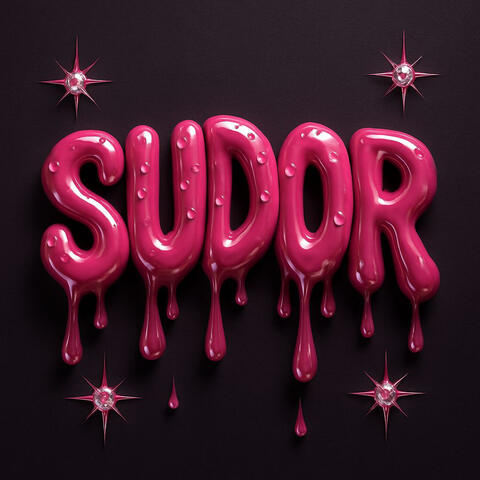 Sudor album art