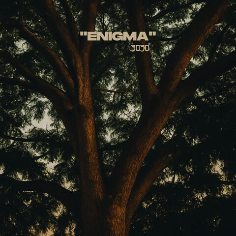 Enigma album art