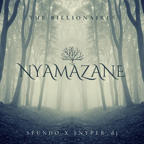 Nyamazane (feat. MaBzar & Fredrum) album art