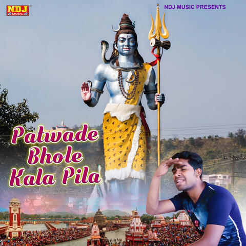 Patwade Bhole Kala Pila album art