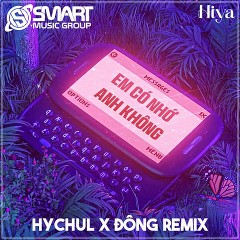 Em Có Nhớ Anh Không album art