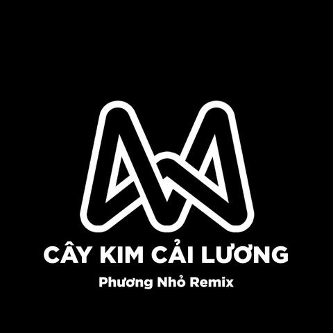 2 IN 1 Cây Kim Cải Lương (Beat) album art