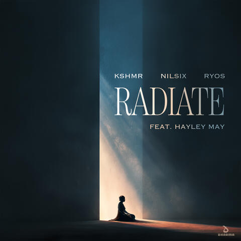 Radiate (feat. Hayley May) album art