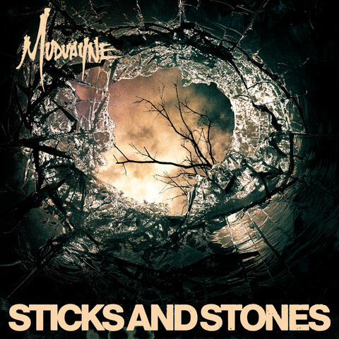 Sticks And Stones album art