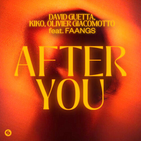 After You (feat. FAANGS) album art