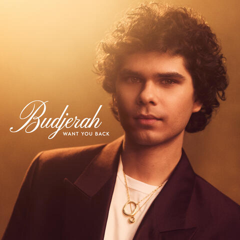 Want You Back album art