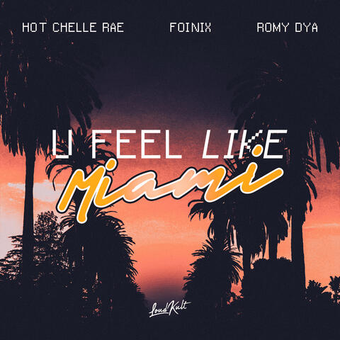 U Feel Like Miami album art