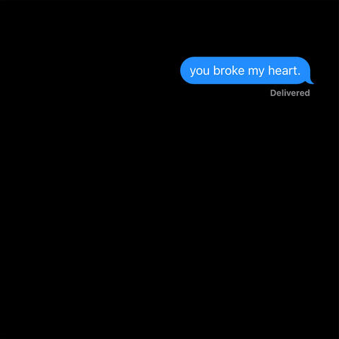 you broke my heart album art