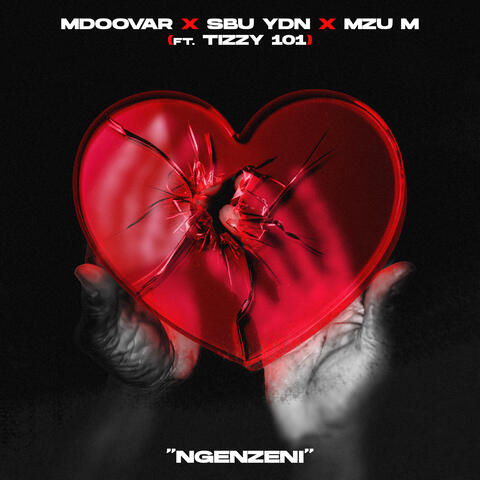 Ngenzeni (feat. Tizzy 101) album art