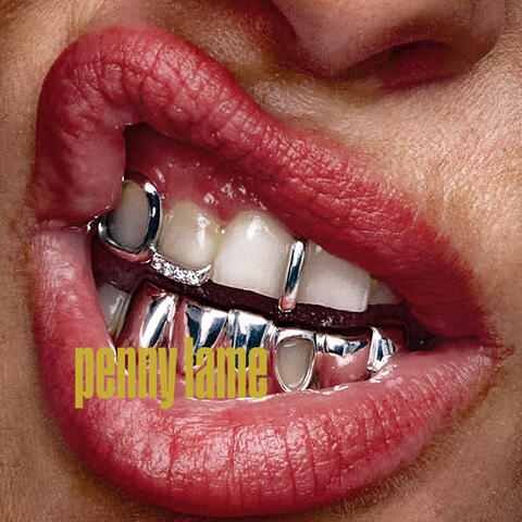 PENNY LAME album art