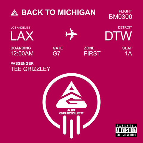 Back To Michigan album art