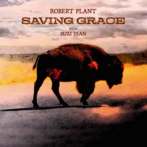 Saving Grace album art