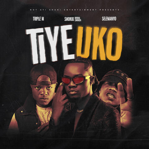 TIYE UKO (feat. Selemanyo & Shoki) album art